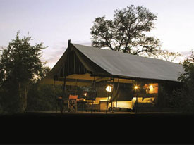 tent safari Manyeleti