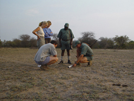 gamewalk zuid afrika safari