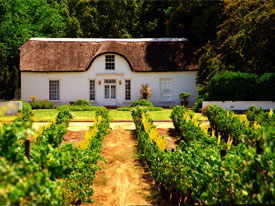 wijnboerderij Zuid Afrika