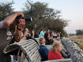 fotografie safari zuid afrika