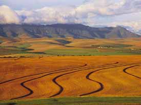 overberg zuid afrika tuinroute