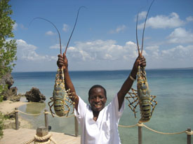Zuid Afrika Mozambique combinatie reis