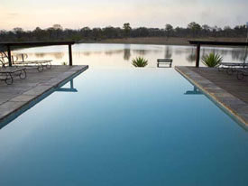 zwembad sabi sands safari