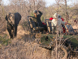 gamedrive kruger
