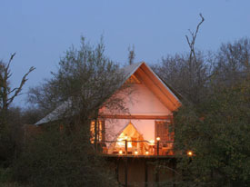 safari zuid afrika tent